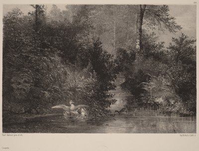  de Karl Bodmer