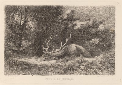 Deer a la Repusee de Karl Bodmer
