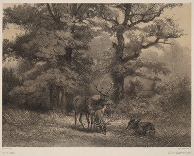 Veados a pastar de Karl Bodmer
