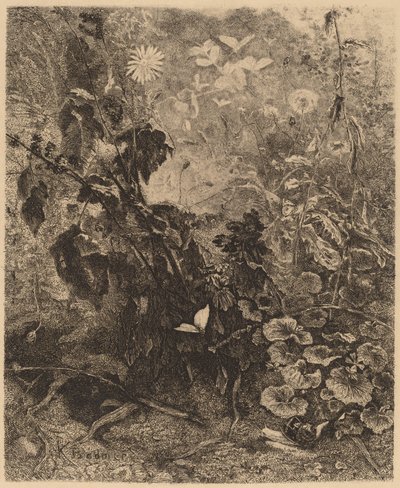 Escargots e papillons de Karl Bodmer