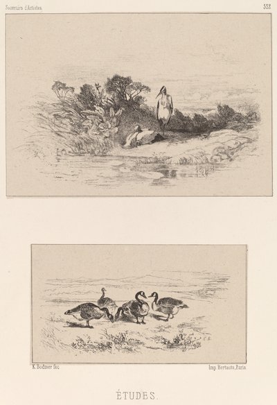 Estudos de Karl Bodmer