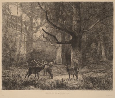Floresta de Fontainebleau de Karl Bodmer