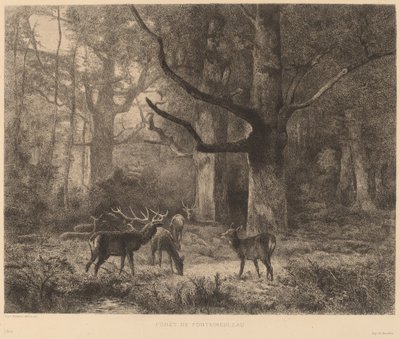 Floresta de Fontainebleau de Karl Bodmer