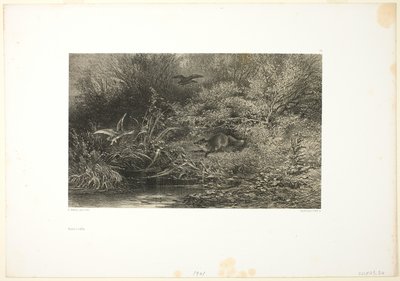 Raposa à espreita de Karl Bodmer