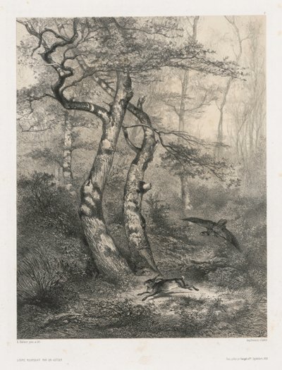 Lebre Perseguida por um Açor, 1858. de Karl Bodmer