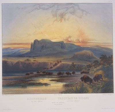 Rebanho de bisontes no Upper Missouri de Karl Bodmer