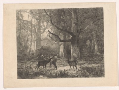 Veado numa floresta de Karl Bodmer