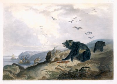 Caça ao urso pardo, placa 36 do volume 2 de &39;Viagens no interior da América do Norte&39;, gravada por Lucas Weber, 1844 (aquatint) de Karl Bodmer