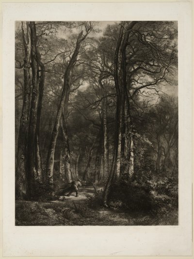 Na floresta de Karl Bodmer
