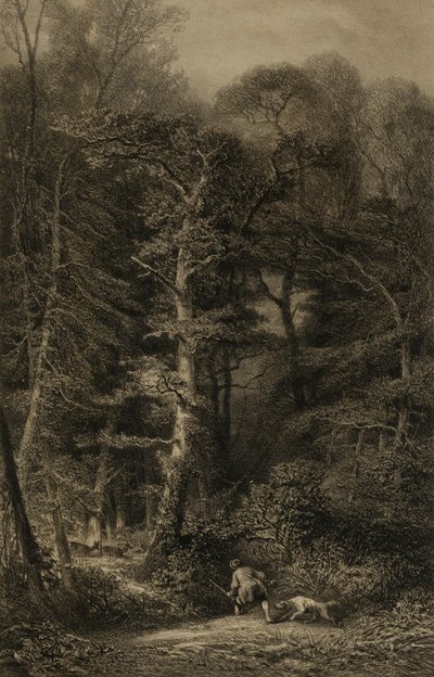 Interior da floresta de Karl Bodmer