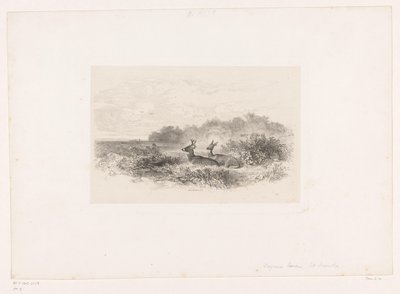 Paisagem com dois veados de cauda branca Paisagens com animais (título da série) de Karl Bodmer