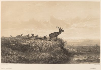 Le Matin. de Karl Bodmer