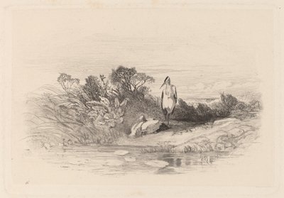As duas garças de Karl Bodmer