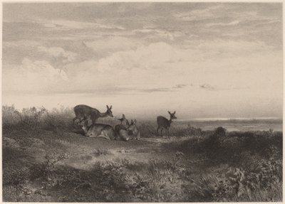 As cervas. de Karl Bodmer