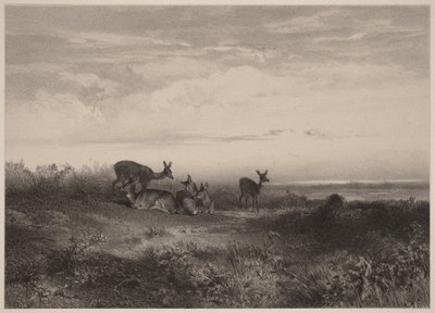 As corças de Karl Bodmer