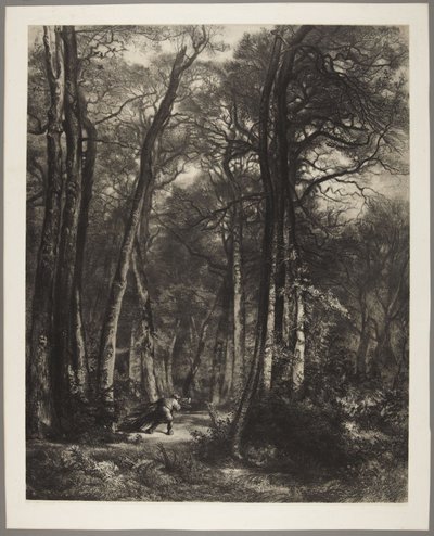 Homem na floresta de Karl Bodmer