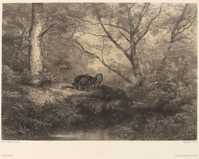Marcassins. de Karl Bodmer