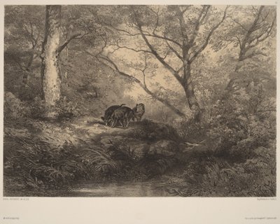 Crías de javali de Karl Bodmer