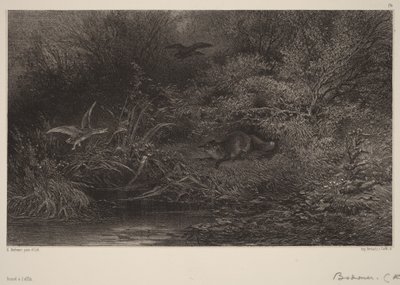 Raposa à espreita de Karl Bodmer