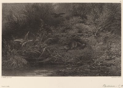 Raposa à espreita de Karl Bodmer