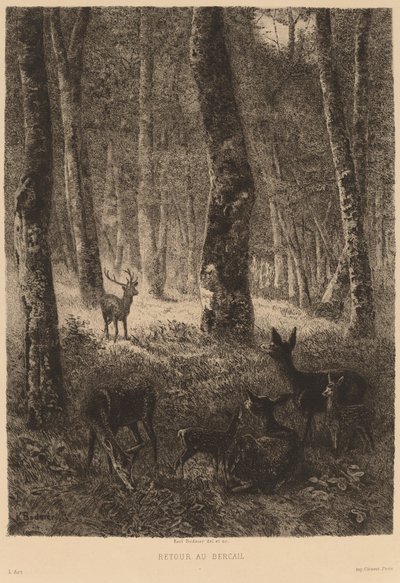 De volta para casa de Karl Bodmer