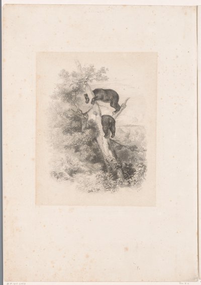 Dois ursos numa árvore
Paisagens com animais (título da série) de Karl Bodmer