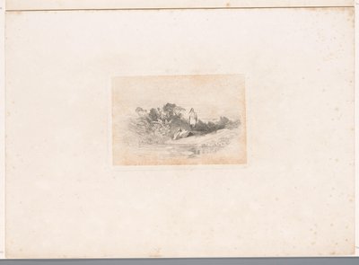 Duas garças à beira-mar Paisagens com animais (título da série) de Karl Bodmer