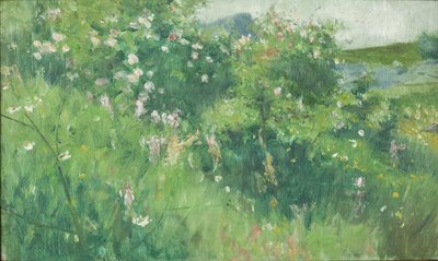 Briar-Rose Bushes florescendo na ilha de Tjörn de Karl Fredrick Nordstrom