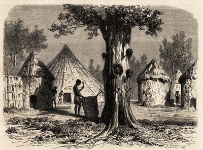 A árvore da guerra, numa aldeia de Djour, região de Bahr-el-Gazal, Sudão, desenho de Karl Girardet (1813-1871) para ilustrar a viagem ao rio das gazelas de A. Bolognesi, em 1856-1857. Gravura em "Le tour du monde", editado por Edouard Charton de Karl Girardet