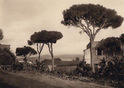 Líbano, Paisagem (foto p/b) de Karl Grober