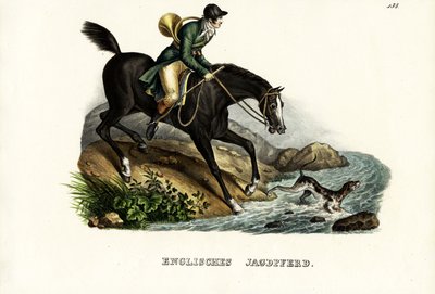 Cavalo inglês do caçador, 1824 de Karl Joseph Brodtmann