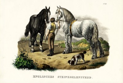 Inglês Pit Horse, 1824 de Karl Joseph Brodtmann