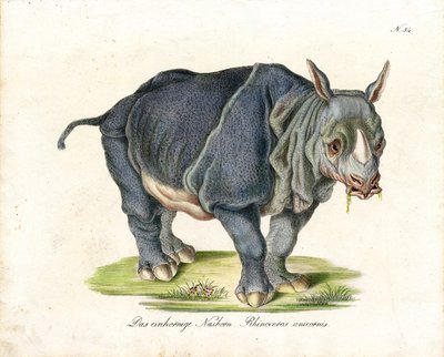  de Karl Joseph Brodtmann