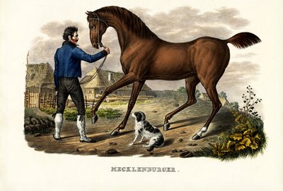 Cavalo Mecklenburg, 1824 de Karl Joseph Brodtmann