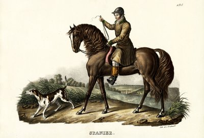 Cavalo Caçador Espanhol, 1824 de Karl Joseph Brodtmann