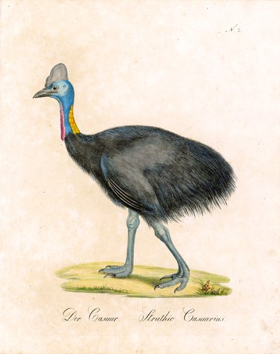  de Karl Joseph Brodtmann