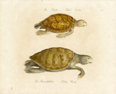  de Karl Joseph Brodtmann