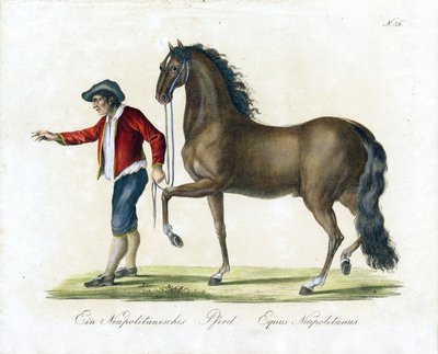  de Karl Joseph Brodtmann