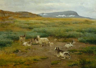 Cabras na relva de Karl K. Uchermann