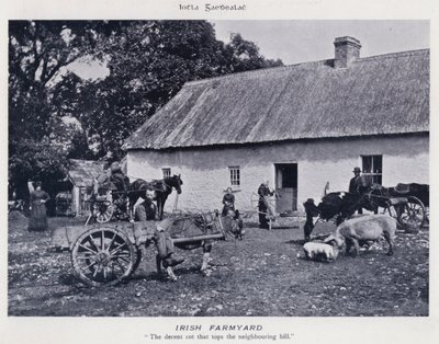 Estaleiro da Fazenda Irlandesa (foto a p/b) de Karl Karlovich Piratsky