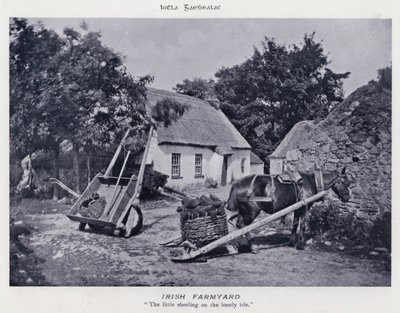 Estaleiro da Fazenda Irlandesa (foto a p/b) de Karl Karlovich Piratsky