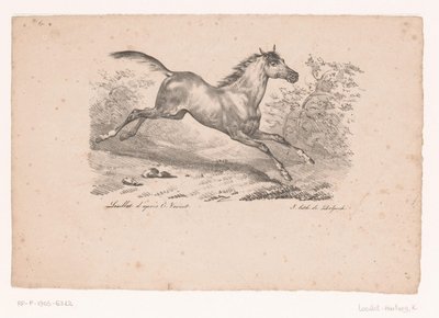 Cavalo galopando na paisagem Cavalos e Cavaleiros (título da série) de Karl Loeillot Hartwig