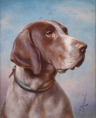 Retrato de cachorro de Karl Reichert