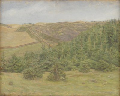 Svanninge Hills, Funen de Karl Schou