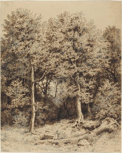 Um Bosque de Árvores de Karl Theodor Reiffenstein