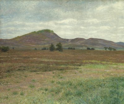 Paisagem perto de Harburg (óleo sobre tela) de Karl Wilhelm Arthur Illies
