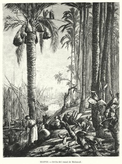 Bancos do Canal de Mahmoudiyah, Egipto (litho) de Karl Wilhelm Gentz