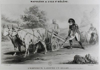 Napoleão (1769-1821) em Santa Helena, gravada por François le Villain (fl.1819-22) de Karl after Loeillot Hartwig