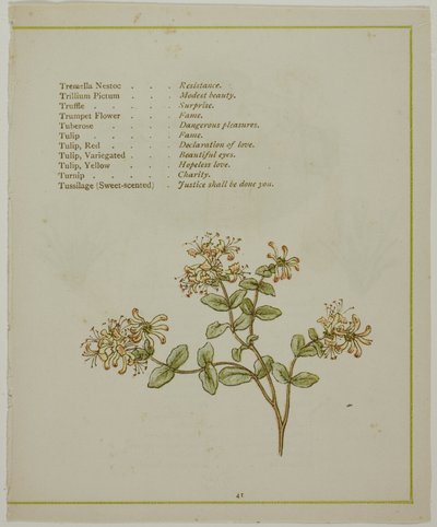 Valerian Through Volkamenia, de The Illuminated Language of Flowers de Kate Greenaway
