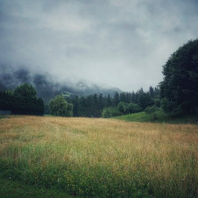 Misty Mountains, 2021 (foto) de Katha Wood